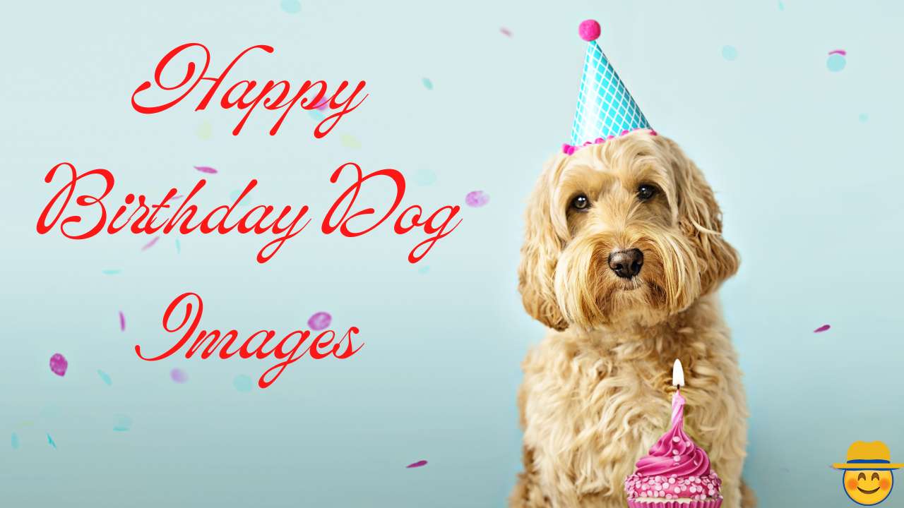 Happy birthday Dog images