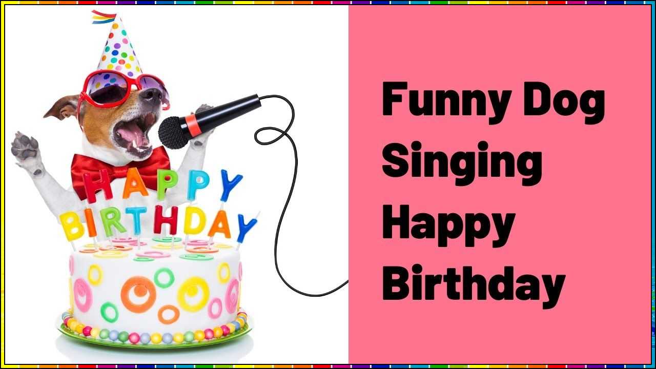 animated happy birthday images with music
