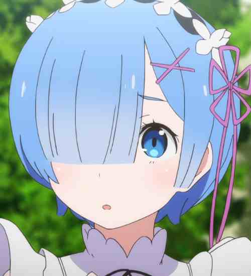 How old is Rem?