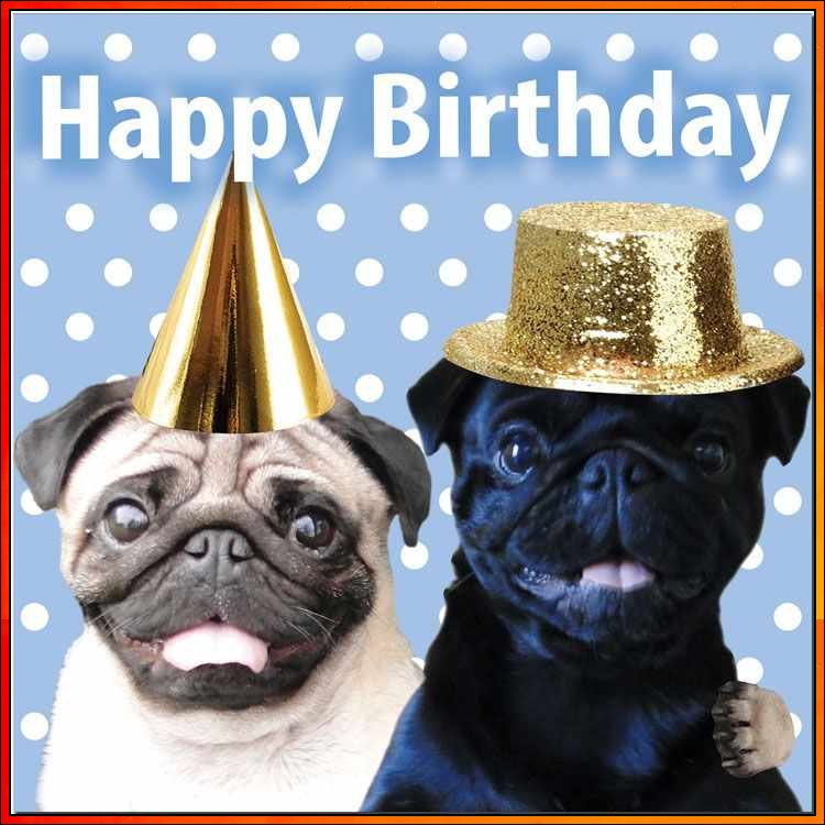 happy birthday with dogs images
