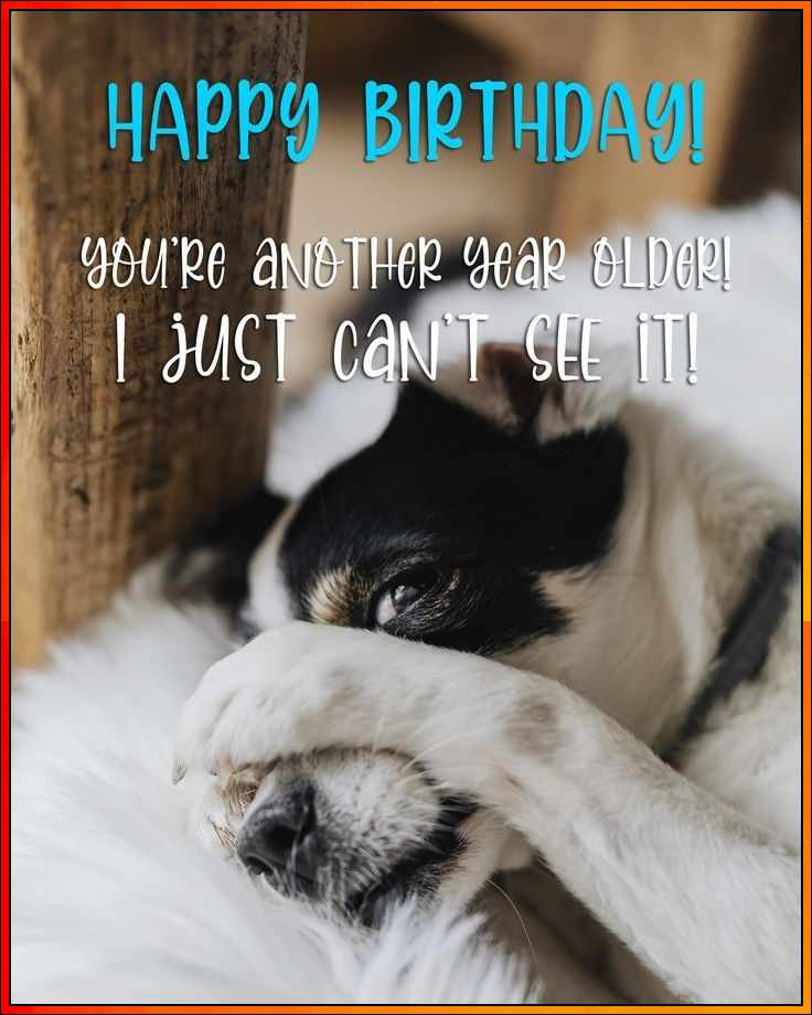 dog saying happy birthday
