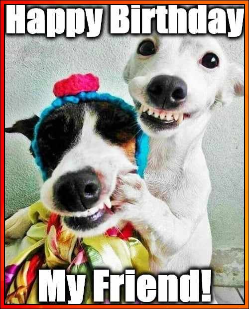 birthday images with dogs
