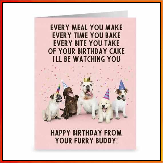 happy birthday images dogs

