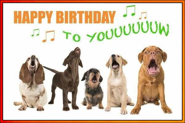 happy birthday images with dogs
