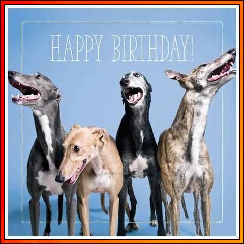 happy birthday with dog images
