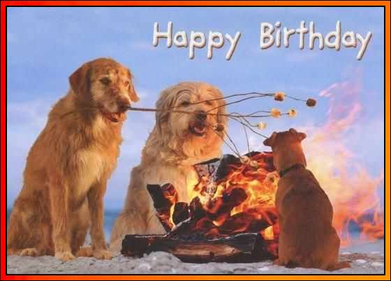happy birthday with dogs
